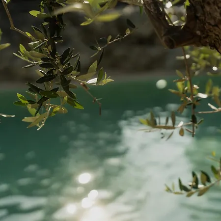 Tenuta Negroamaro 4*