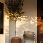 Tenuta Negroamaro 4* غالّيبولي