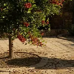 فندق Tenuta Negroamaro