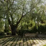 Tenuta Negroamaro فندق غالّيبولي