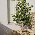 فندق Tenuta Negroamaro