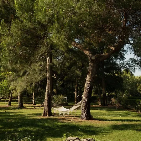 Tenuta Negroamaro 4*