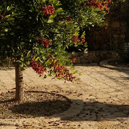 Hotel Tenuta Negroamaro