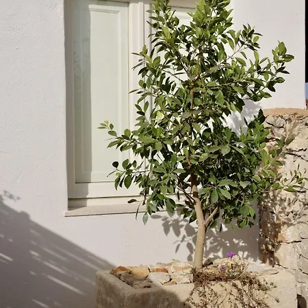 Ξενοδοχείο Tenuta Negroamaro