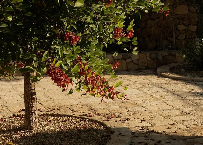 Hotel Tenuta Negroamaro